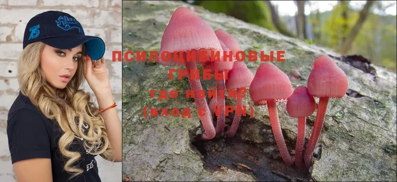 Галлюциногенные грибы Psilocybe  Инта 